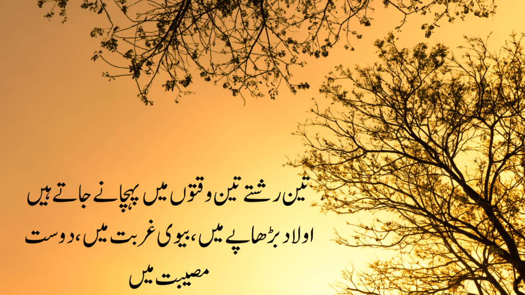 love quotes in urdu